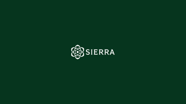 Sierra AI Overview & Best Alternatives in 2025